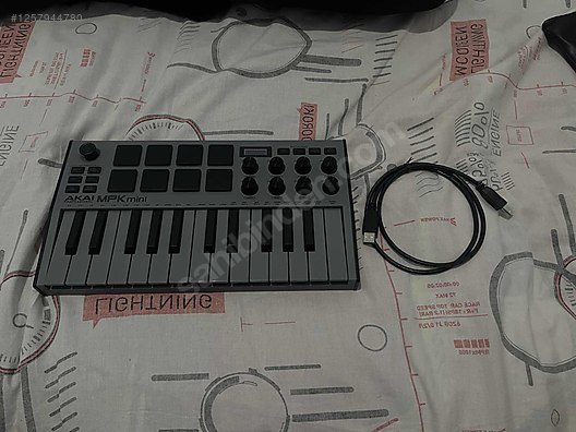 Schecter Elektro Gitar