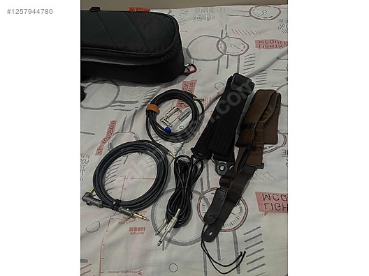 Schecter Elektro Gitar