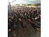 Pets & Livestock / Poultry & Fowl / Turkeys