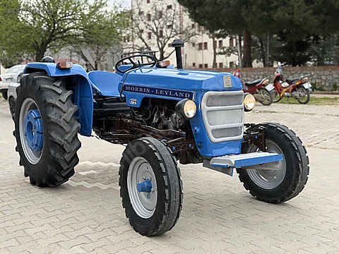 あおくま Leyland / ^^ÖZKAN GALERİ'DEN MASRAFSIZ MAVİ BONCUK 154 LEYLANT