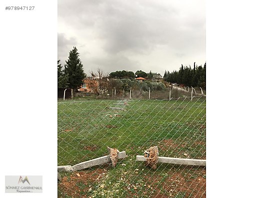 menderes oglananasinda coban et arkasi satilik arsa satilik arsa ilanlari sahibinden com da 978947127 menderes oglananasinda coban et arkasi satilik arsa satilik arsa ilanlari sahibinden com da 978947127