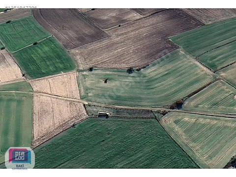 Resmi Yola Cephe-Çiftlik-Fabrika-Depo-Yerleşime Yakın | 5.483 m2