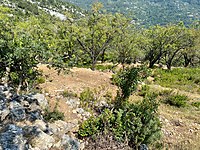 Bademagaci Mh Satilik Kiralik Emlak Ilanlari Sahibinden Com Da