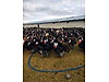 Pets & Livestock / Poultry & Fowl / Turkeys