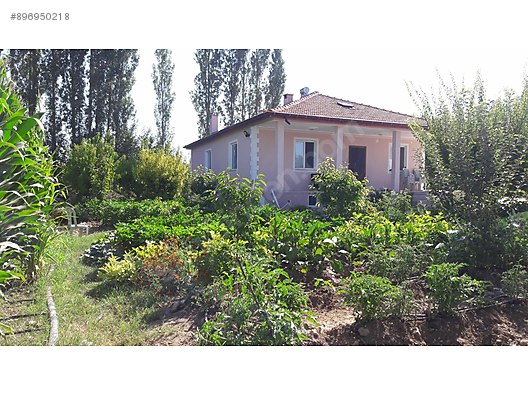 mustakil ev ve erik bahcesi satilik mustakil ev ilanlari sahibinden com da 896950218