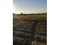 yunus emre mah satilik arsa ilanlari ve fiyatlari sahibinden com da