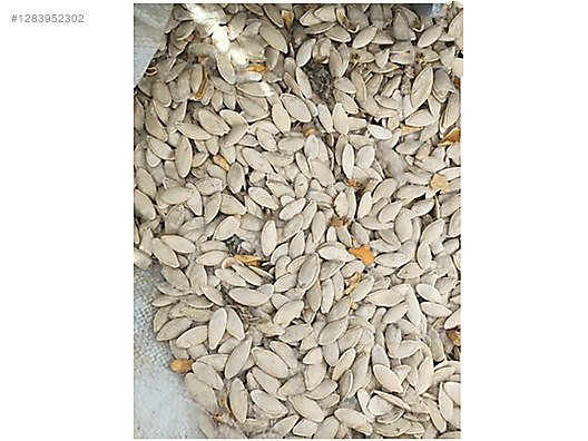 Used & Brand New Items / Foods & Feed / Dried Nuts