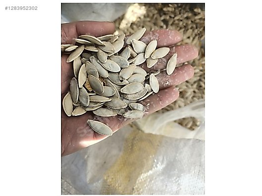 Used & Brand New Items / Foods & Feed / Dried Nuts