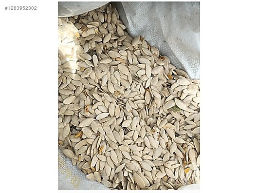 Used & Brand New Items / Foods & Feed / Dried Nuts