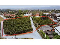 Duzce Merkez Satilik Arsa Ilanlari Ve Fiyatlari Sahibinden Com Da