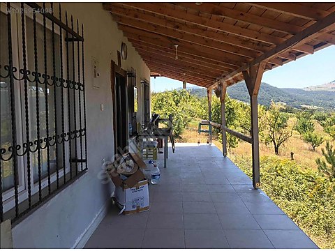 SakaryaGeyve �de Satılık Bahçeli Müstakil Ev Satılık Müstakil Ev