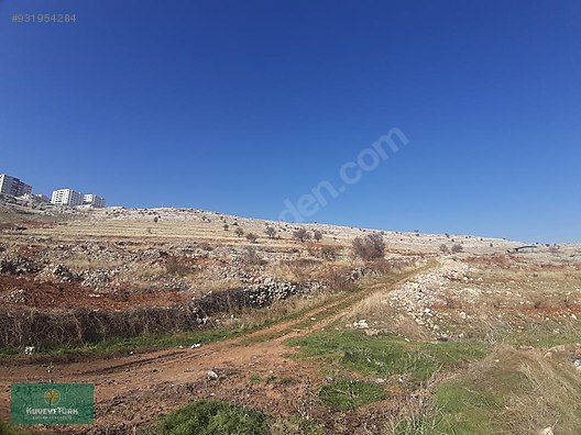 mardin artuklu yalim mahallesinde arsa satilik arsa ilanlari sahibinden com da 931954284 mardin artuklu yalim mahallesinde arsa satilik arsa ilanlari sahibinden com da 931954284