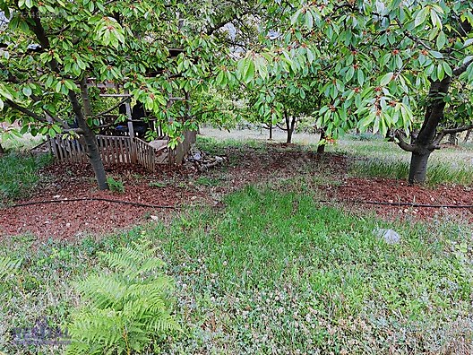 OSMANGAZİ KÜÇÜKDELİLLER KÖYÜNDE MUHTEŞEM SATILIK TARLA