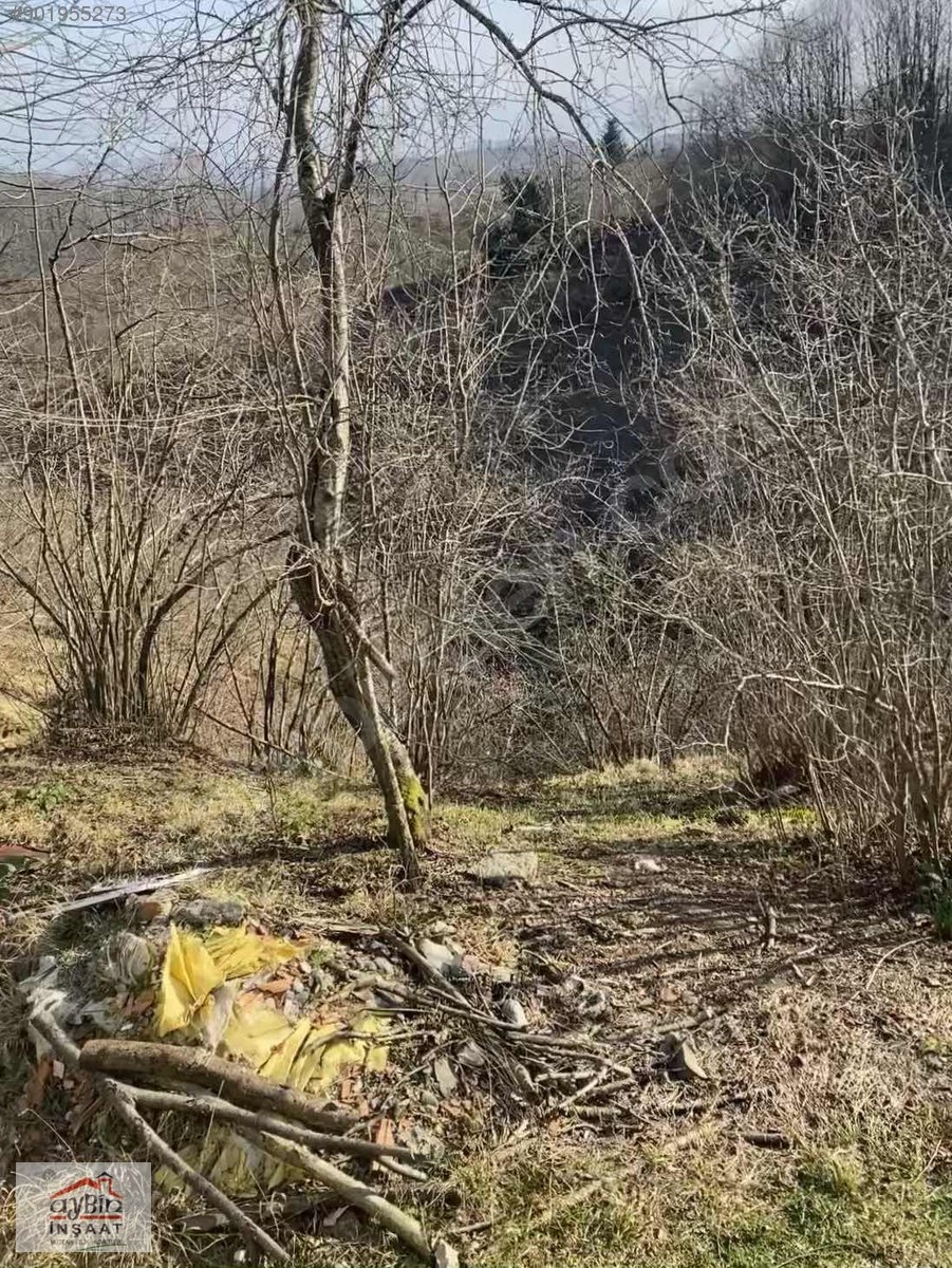 ORDU RERŞEMBEDE 20600M2 ÜZERİNDE ESKİ EVİ OLAN FINDIK BAHÇESİ Satılık