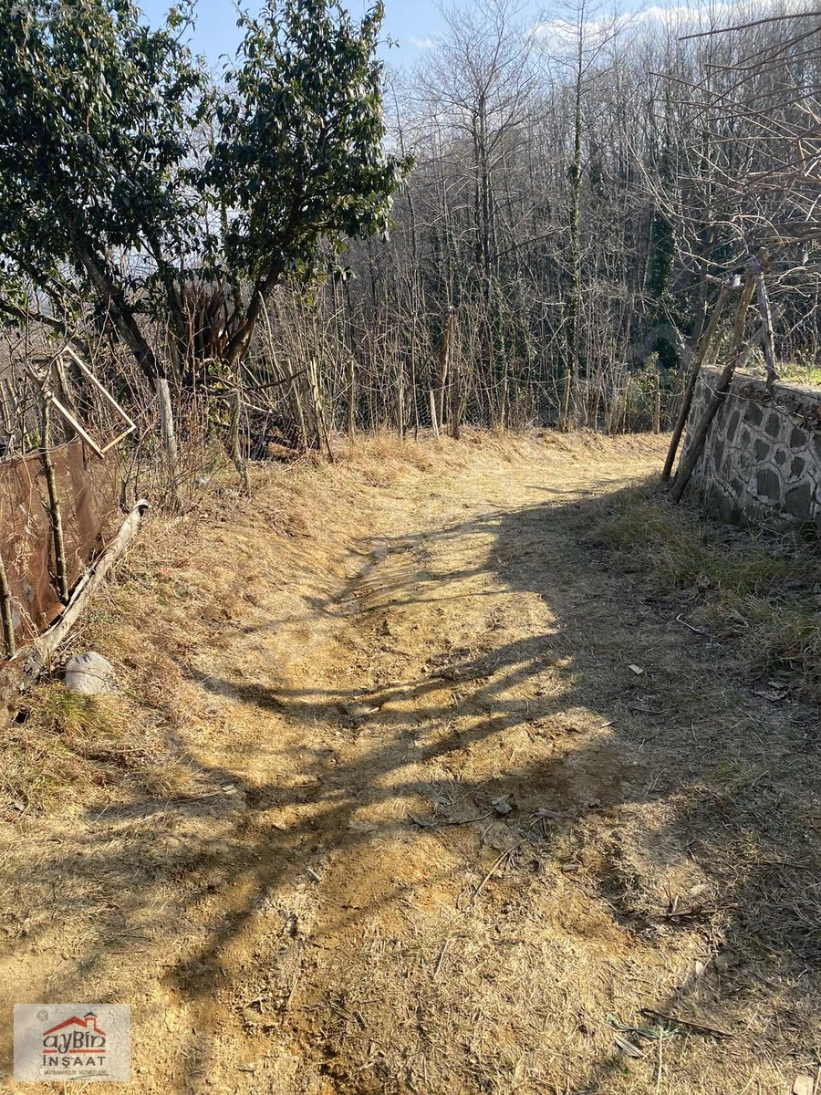 ORDU RERŞEMBEDE 20600M2 ÜZERİNDE ESKİ EVİ OLAN FINDIK BAHÇESİ Satılık