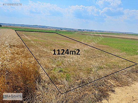 Tekirdağ Hayrabolu Büyükkarakarlı' da 1124m2 Yatırımlık...