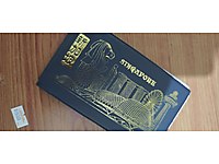 Koleksiyon madeni para