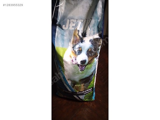 Pets & Livestock / Foods & Feeds / Dog / Food