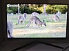Samsung 24 inç monitör HD kalite masaüstü bilgisayar - Alışveriş :: Sıfır, İkinci El Ürünlerle sahibinden.com'da