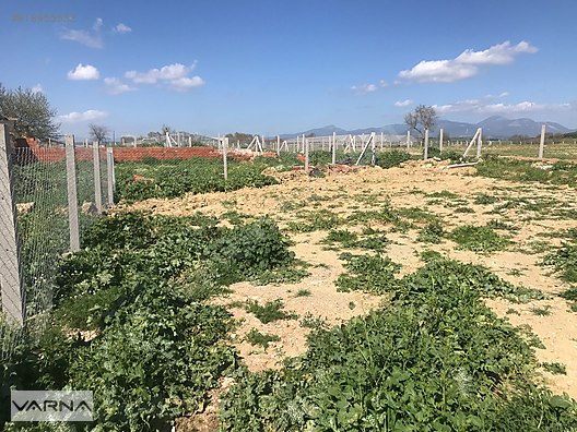 izmir menderes altintepede 257 m2 bahce satilik arsa ilanlari sahibinden com da 918955532 izmir menderes altintepede 257 m2 bahce satilik arsa ilanlari sahibinden com da 918955532