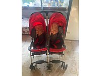 İkiz bebek arabası