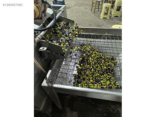 İkinci El ve Sıfır Alışveriş / Yiyecek & İçecek / Şarküteri / Zeytinyağı