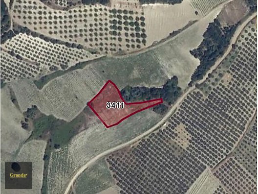 KONAKLIDA DEĞERLİ KONUMDA TEK TAPU ARAZİ #1266958866