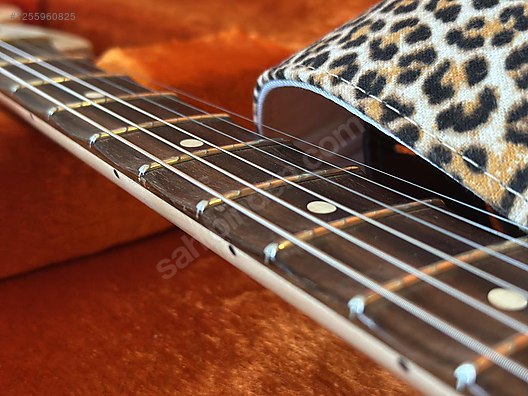 Fender Elektro Gitar