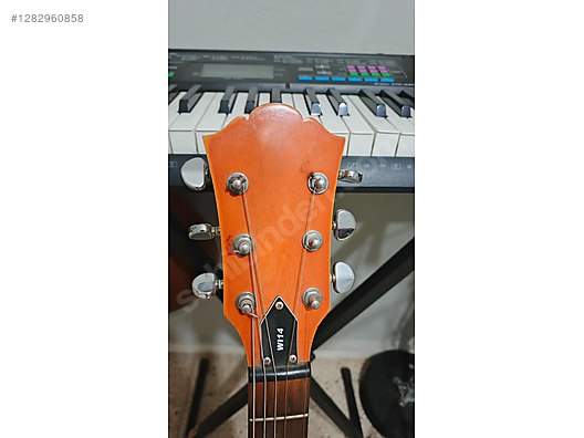 Washburn Elektro Gitar