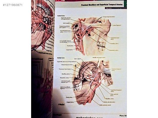Netter Atlas of Human Anatomy 7.baskı sahibinden.comda - 1271960871