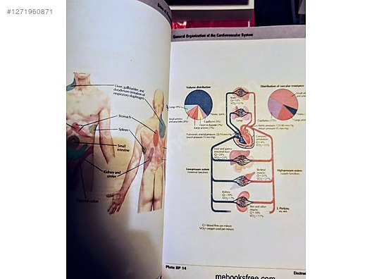 Netter Atlas of Human Anatomy 7.baskı sahibinden.comda - 1271960871