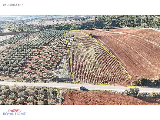 KARACABEYE YAKIN - ASFALTA CEPHE - KÖYE 640 METRE MESAFEDE #1208961427