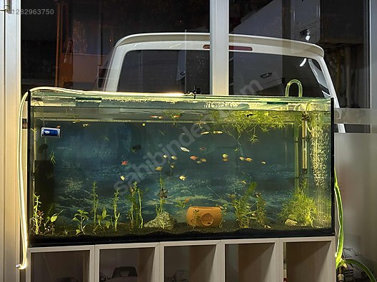 Pets & Livestock / Accessories / Fish / Aquariums