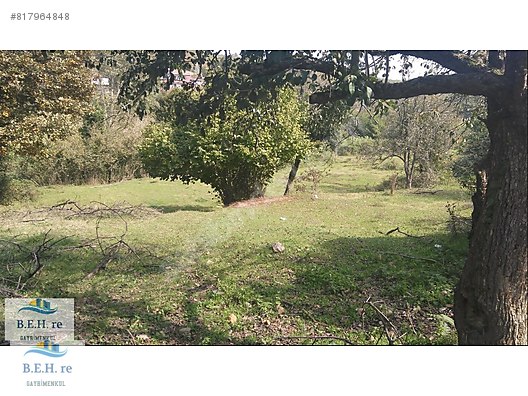 Istanbul Sile Komurluk Koyunde 4947 M2 Imarli Arsa Satilik Arsa Ilanlari Sahibinden Com Da 817964848