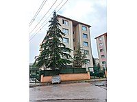 satilik daire ilanlari ve satilik ev fiyatlari sahibinden com