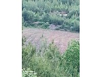 gulek mh satilik arsa ilanlari ve fiyatlari sahibinden com da