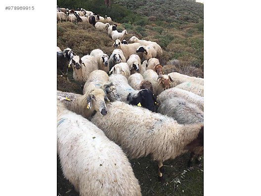 gin52cbnwe9m8m gin52cbnwe9m8m