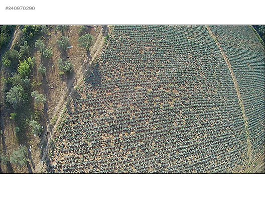 bursa iznik yesilcami mahallesinde satilik bos tarla satilik arsa ilanlari sahibinden com da 840970290