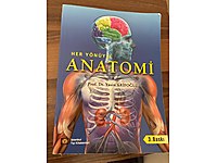 Her yönüyle anatomi