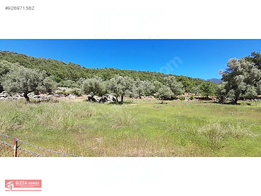 Fethiye Oludeniz Hisaronu Yatirimlik Tarla Satilik Arsa Ilanlari Sahibinden Com Da 926971562
