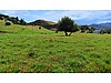 TUNCELİ MERKEZ HARÇİK BÖLGESİNDE ALT YAPISI HAZIR ARSA