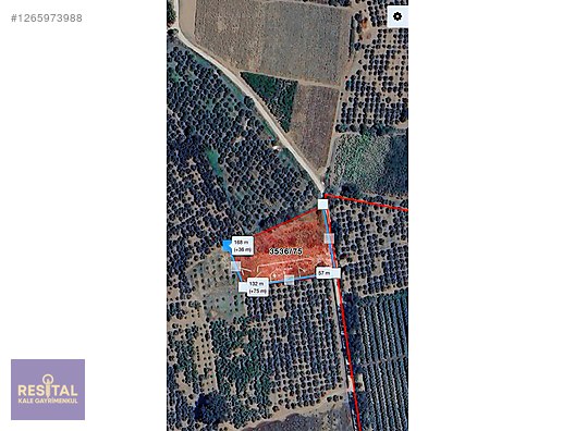 Samanlıda Resmî Kadastro Yoluna Cephe Satılık Fırsat Tarla