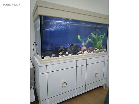 1 metre akvaryum fiyatlari