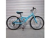 Used & Brand New Items / Sports / Bicycles / Children's Bikes