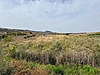 ESC'DEN BOZÖN'DA SATILIK 1700 M2 TARLA(ESC2026)