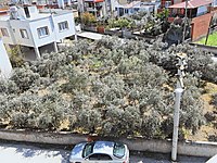 Osmaniye Merkez Satilik Arsa Ilanlari Ve Fiyatlari Sahibinden Com Da