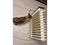 DEMİRDÖKÜM YAĞLI ELEKTRİKLİ RADYATÖR