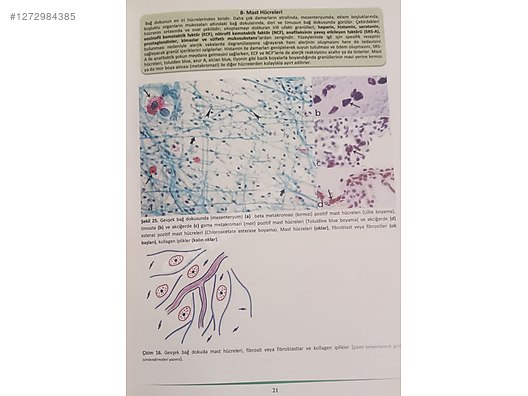 İkinci El ve Sıfır Alışveriş / Kitap, Dergi & Film / Kaynak & Bilgi Kitapları / Sağlık & Tıp