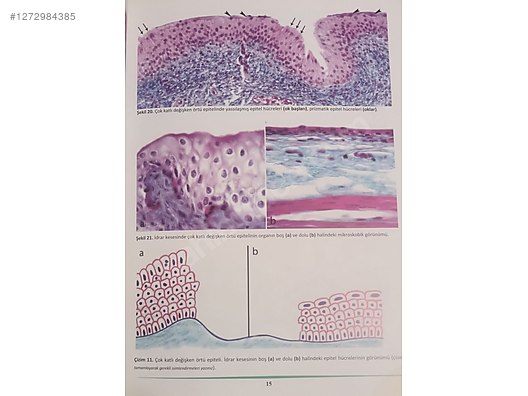 İkinci El ve Sıfır Alışveriş / Kitap, Dergi & Film / Kaynak & Bilgi Kitapları / Sağlık & Tıp