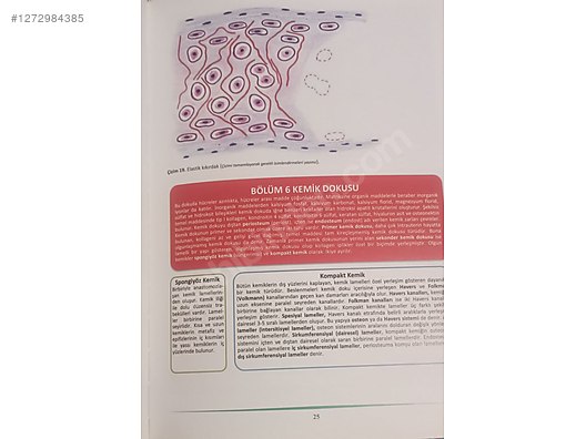 İkinci El ve Sıfır Alışveriş / Kitap, Dergi & Film / Kaynak & Bilgi Kitapları / Sağlık & Tıp